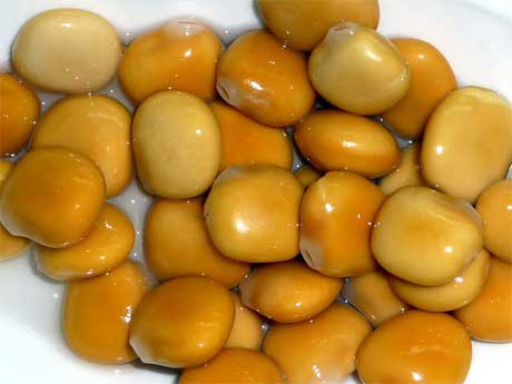 altramuces