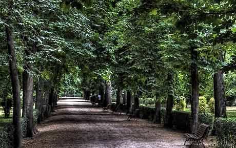El Retiro, Madrid. El Retiro, Madrid.