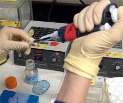 laboratorio