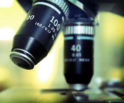 microscopio